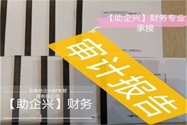 红河审计报告
